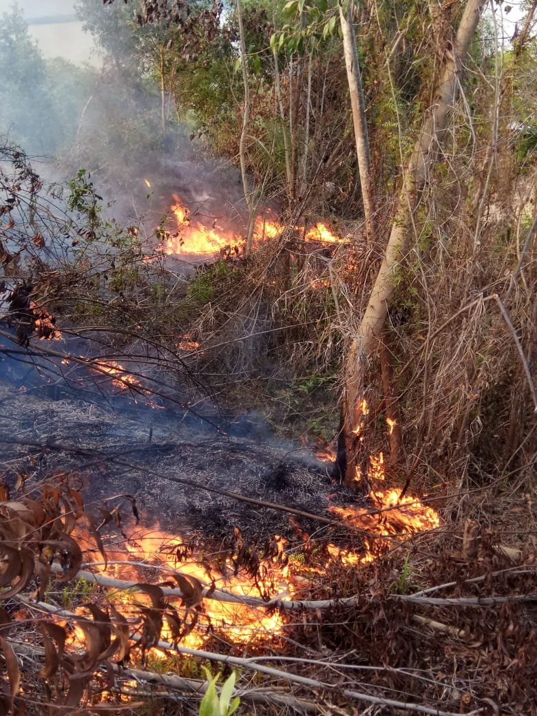 Kaltara Mulai Waspada Karhutla