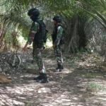 perjudian sabung ayam