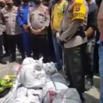 WhatsApp Image 2020-08-06 at 14.46.00