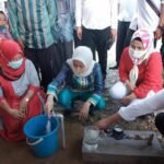 WhatsApp Image 2020-08-20 at 17.32.20