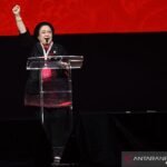 Banteng Muda Indonesia