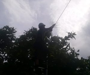 Monyet di Jalan Gunung Amal