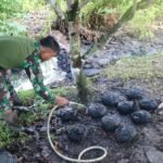 Dentuman Ledakan di Tarakan