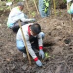 Lokasi wisata Mangrove Belagaone