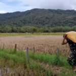 Satgas Yonarhanud 16/SBC