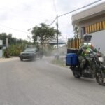 Disinfektan