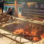Ikan Asal Malaysia Ilegal