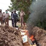 Ikan Asal Tawau dibakar petugas karantina