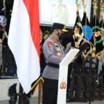 WhatsApp Image 2021-03-04 at 20.39.19