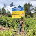 WhatsApp Image 2021-03-07 at 16.27.57 (1)