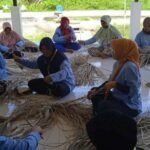 tikar pandan pelatihan menganyam tikar pandan