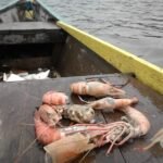 WhatsApp Image 2021-05-04 at 11.31.03