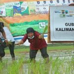 Gubernur Kaltara, Zainal A. Paliwang