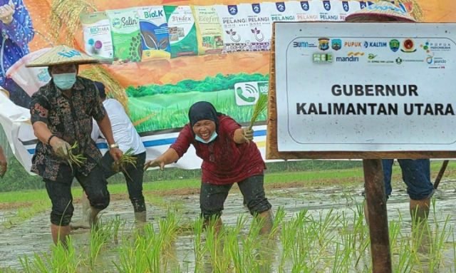 Gubernur Kaltara, Zainal A. Paliwang