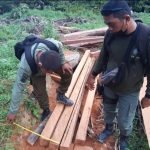 Kayu hasil pembalakan liar