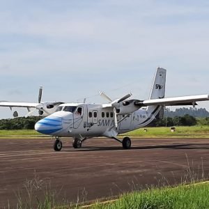 penerbangan perintis