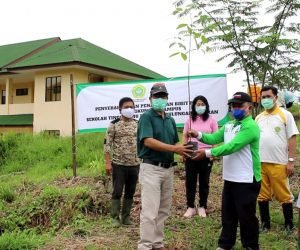 DLH Tarakan Penanaman bibit pohon oleh DLH Tarakan