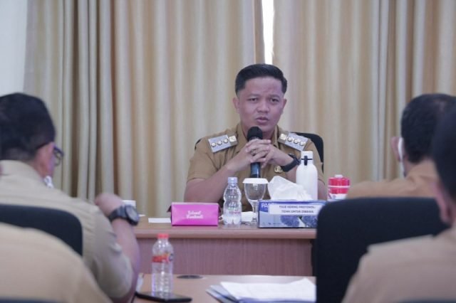 Bupati Tana Tidung, Ibrahim Ali