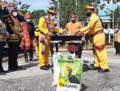 beras lokal bulungan