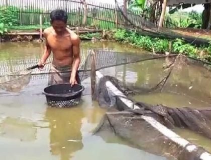 IMG-20211227-WA0051 Pembudidaya ikan