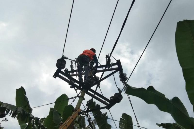 Petugas PLN