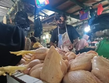 WhatsApp Image 2021-12-02 at 13.21.34