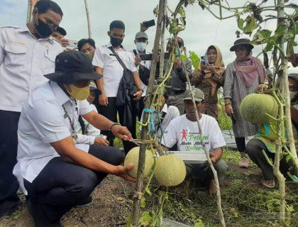 WhatsApp Image 2021-12-08 at 3.49.24 PM