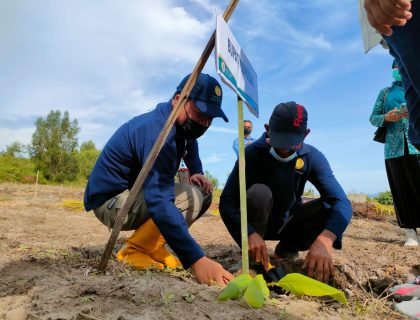 WhatsApp Image 2021-12-22 at 11.58.52