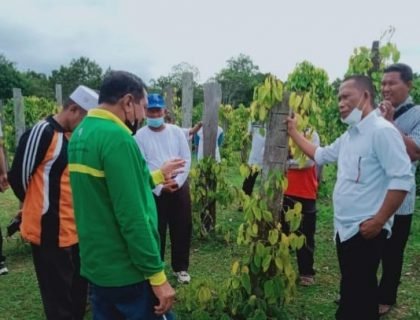 Bupati Bulungan Syarwani