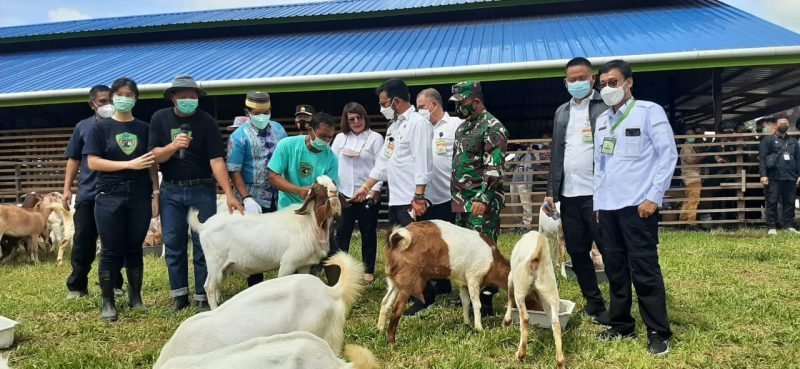 Mentan Syahrul Yasin Limpo