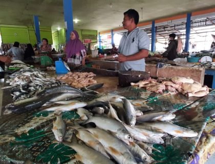 Pasar Agropolitan Tanjung Palas