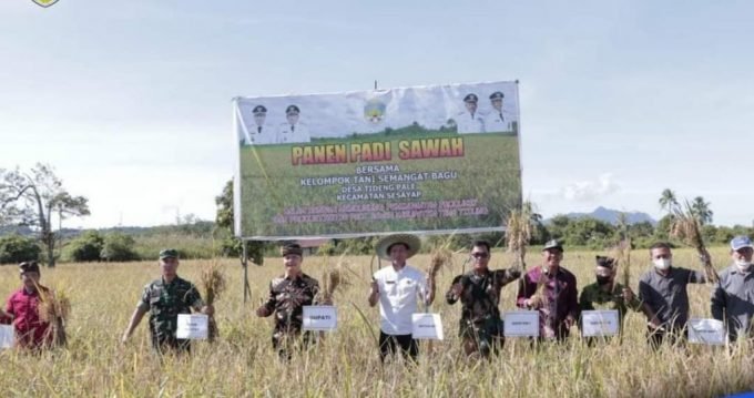 Panen raya bersama bupati