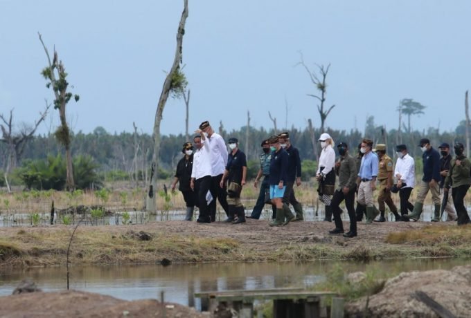 Presiden RI Joko Widodo