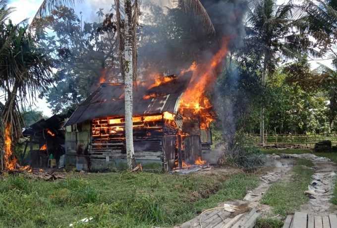 WhatsApp Image 2022-02-01 at 18.27.59