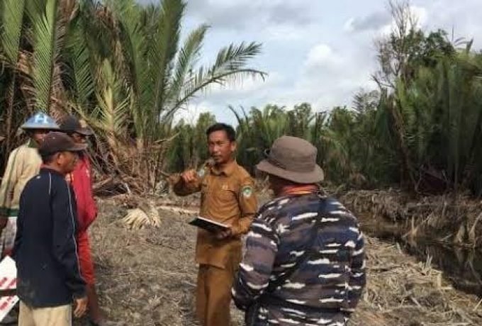 WhatsApp Image 2022-02-16 at 15.06.23