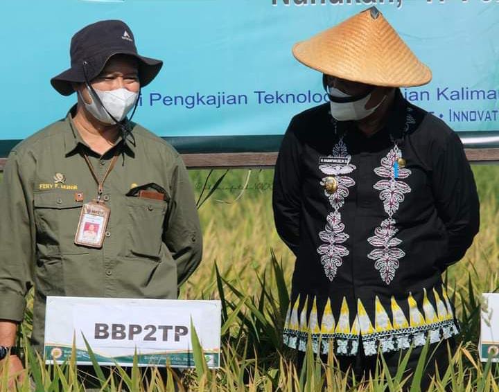 Wakil Bupati Nunukan H. Hanafiah