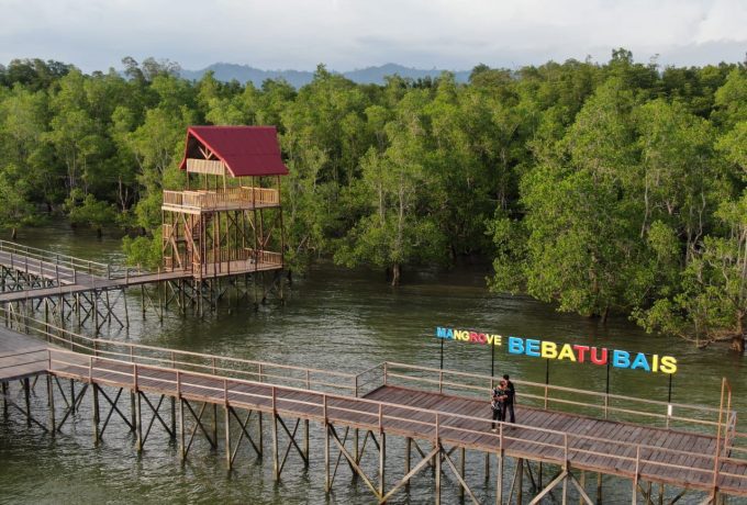 Objek wisata Hutan mangrove Desa Setabu