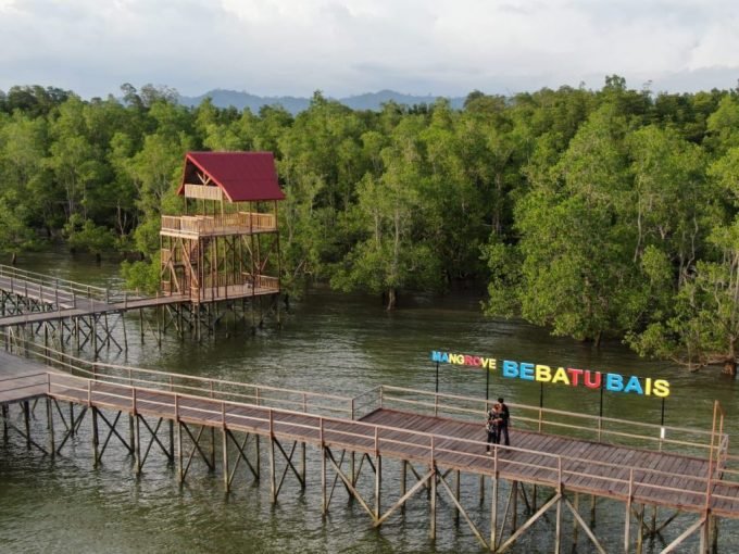 Objek wisata Hutan mangrove Desa Setabu