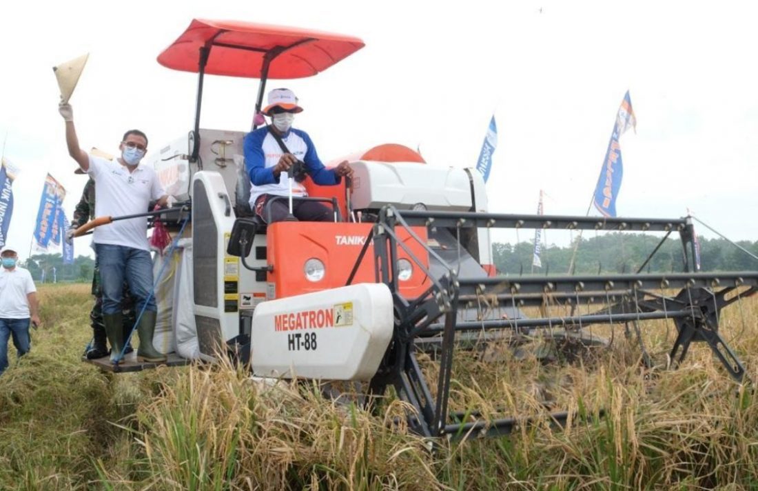 Jawab Tantangan Produktivitas, PKT Optimis Perluas Lahan Pengembangan ...