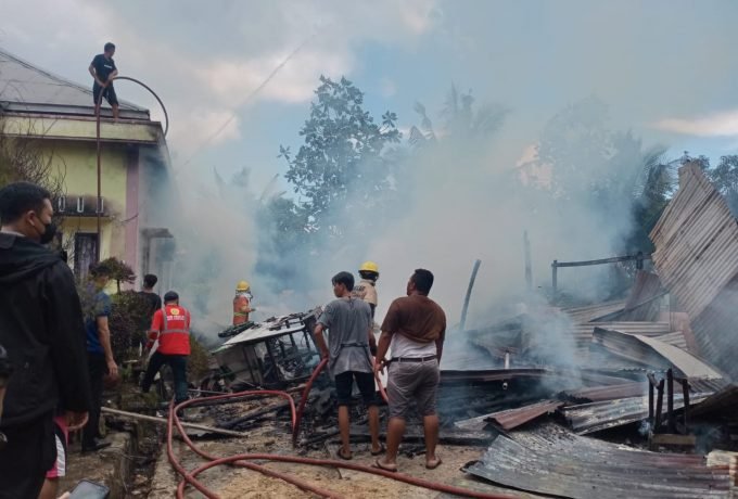 WhatsApp Image 2022-03-11 at 14.16.14