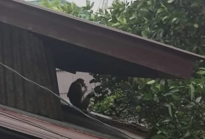 WhatsApp Image 2022-05-12 at 10.37.54