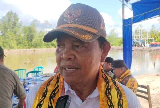 Hutan Mangrove Hutan Mangrove