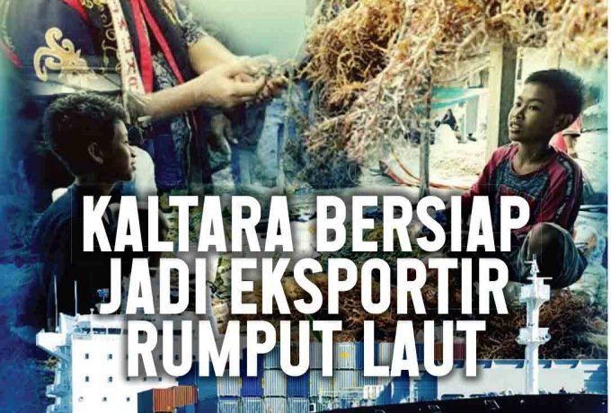 Eksportir Rumput Laut Terbesar