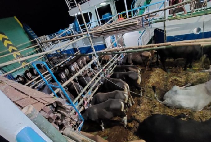 Karantina Pertanian Tarakan