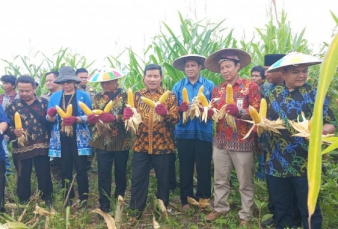 WhatsApp Image 2022-07-07 at 19.47.30