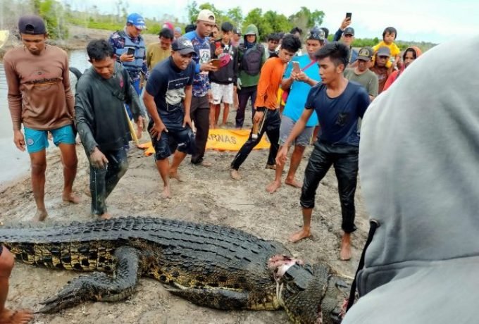 WhatsApp Image 2022-07-28 at 18.26.19 (1)