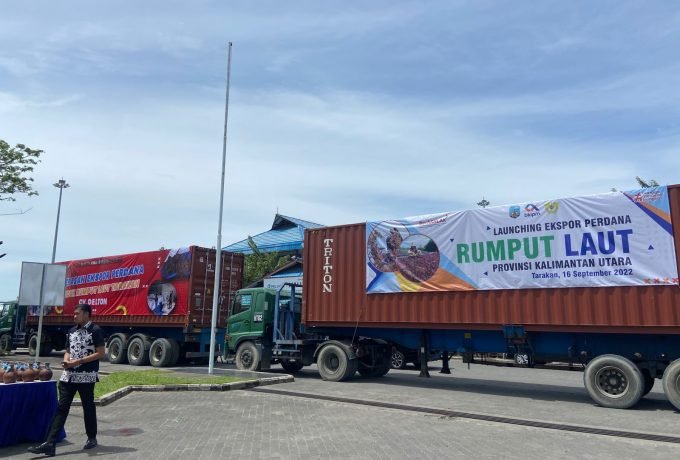 EKSPOR : Dua kontainer berisi rumput laut yang akan diekspor ke negara Vietnam, (Foto: Endah Agustina/Benuanta)