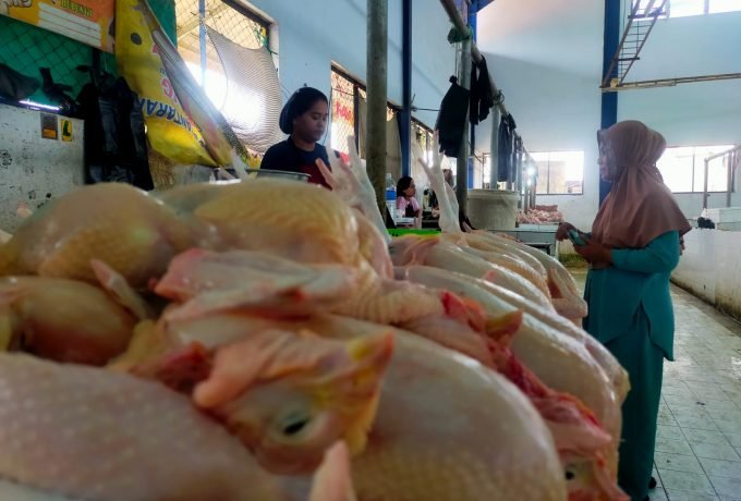 WhatsApp Image 2022-09-05 at 10.48.55 (1)