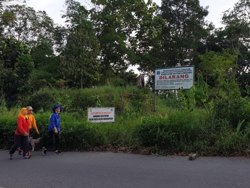 Hutan Lindung Tarakan