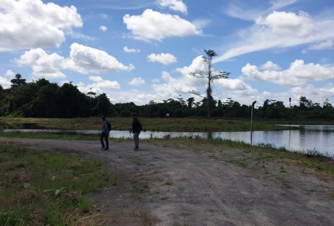 SUASANA: Kolam pembenihan ikan di dalam kebun raya Bulungan.